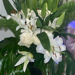 Meet your Posher, Feri